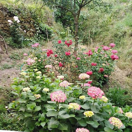 Il Ghiro Bed & Breakfast Levanto Dış mekan fotoğraf