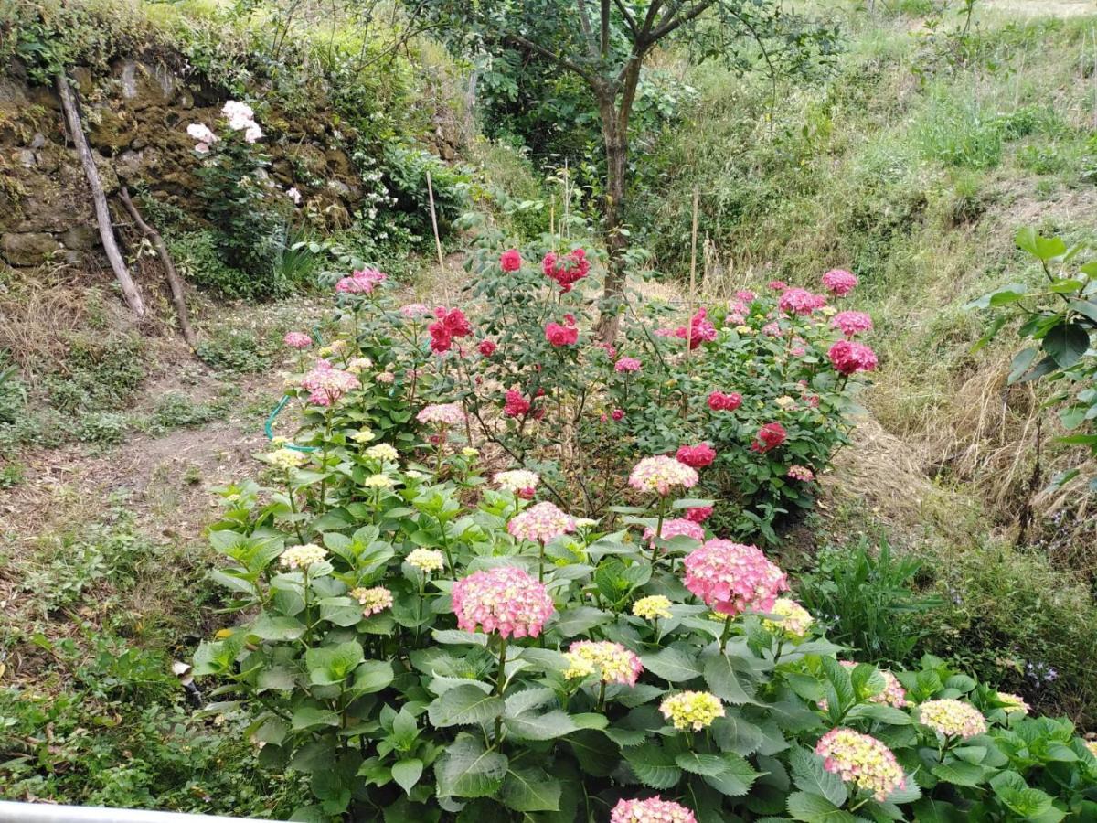 Il Ghiro Bed & Breakfast Levanto Dış mekan fotoğraf